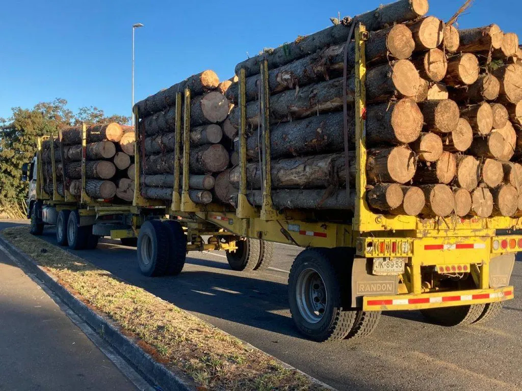 madera certificada