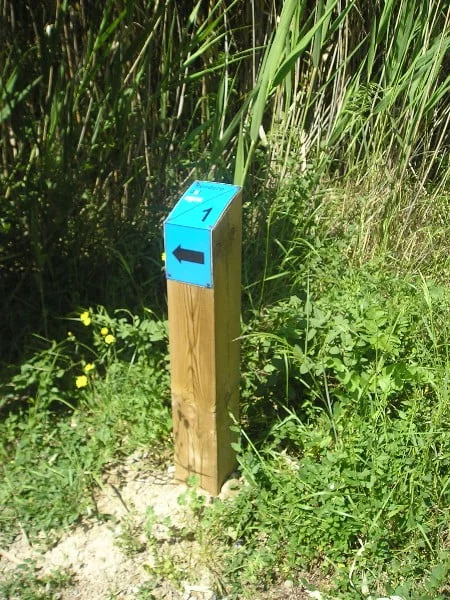 Hitos y balizas señalización de madera para exterior - Imagen 5